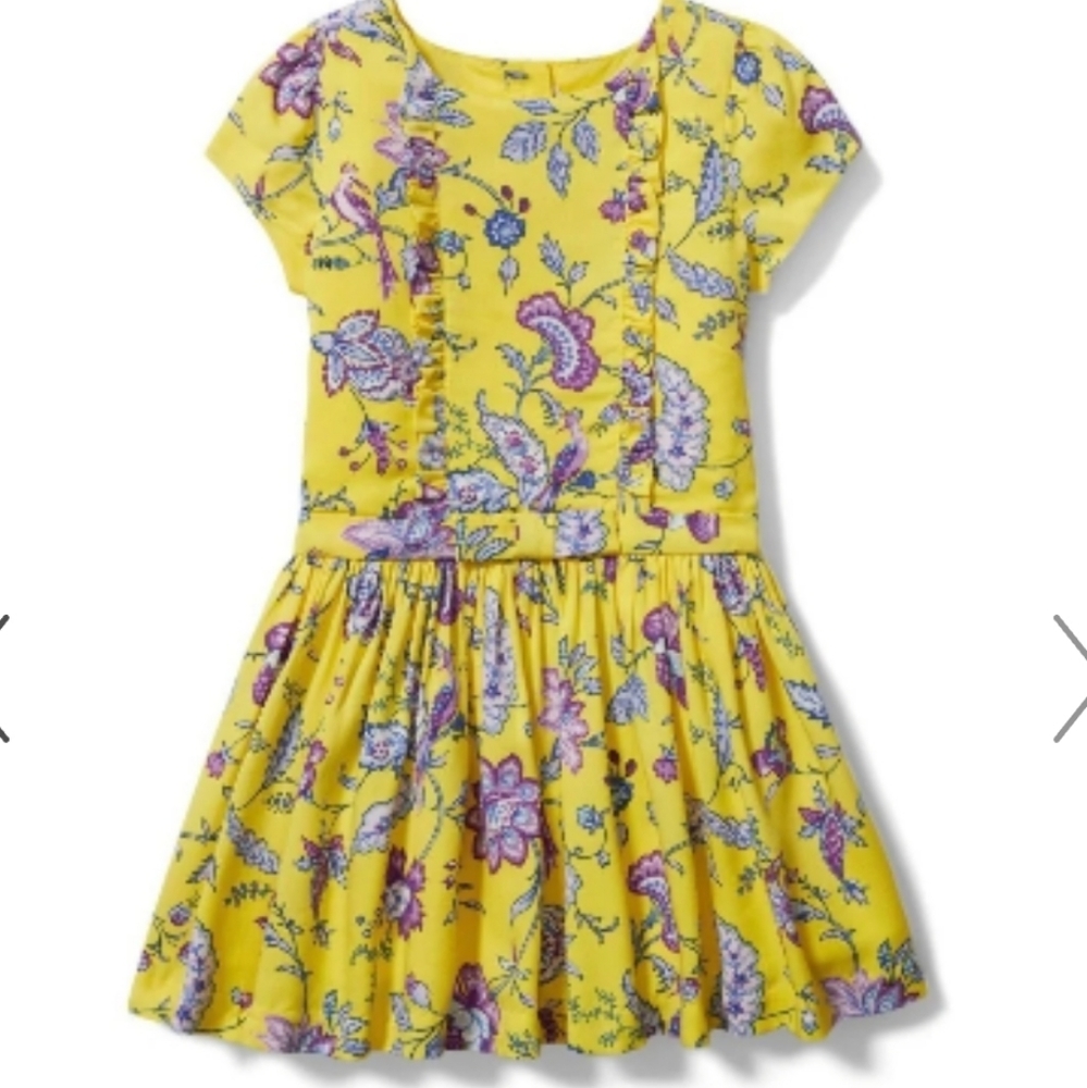 Aurora floral Yellow ruffle paisley Janie and jack dress size 6 6t